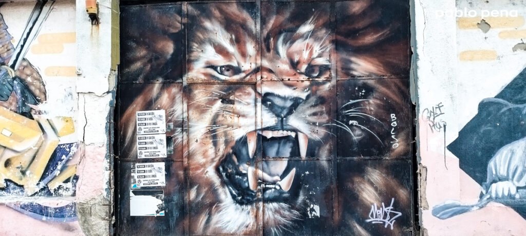 Dónde hacer sesiones de fotos en Montevideo con arte urbano 17 ARTE URBANO MONTEVIDEO PARA SESION FOTOS 21