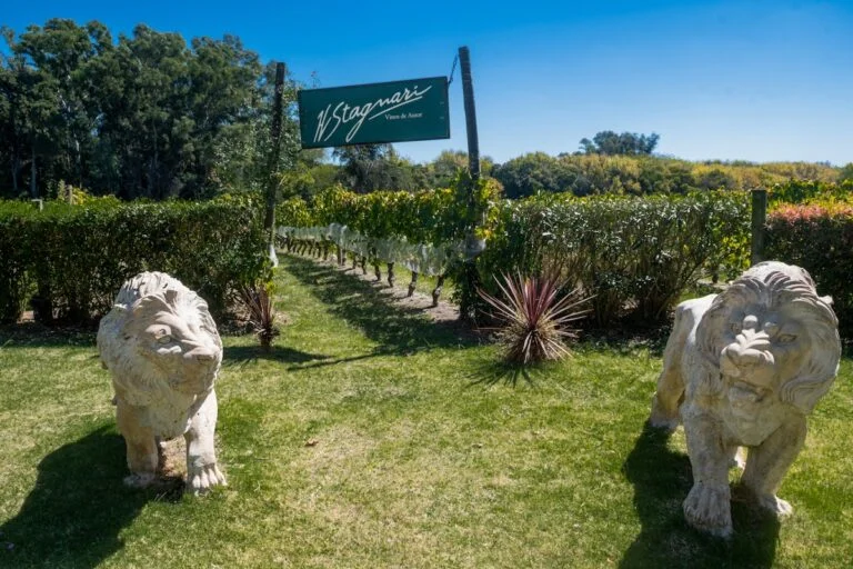 PRENSA H STAGNARI LA REINA DE LA VENDIMIA SHOW BUSINESS9 768x512 1