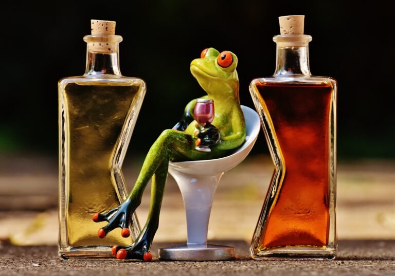 coctel